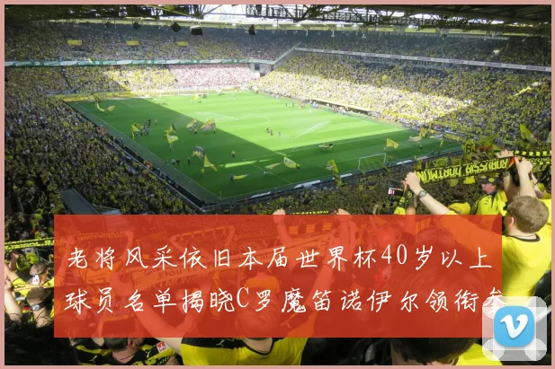 老将风采依旧本届世界杯40岁以上球员名单揭晓C罗魔笛诺伊尔领衔参赛