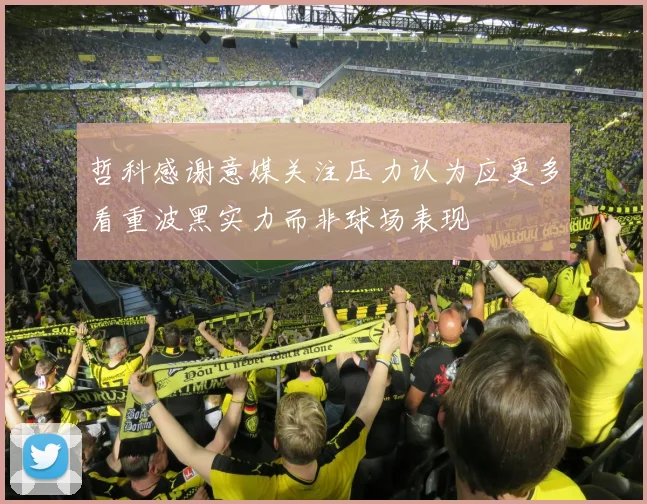 哲科感谢意媒关注压力认为应更多看重波黑实力而非球场表现
